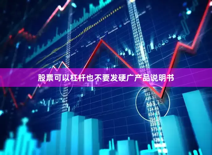 股票可以杠杆也不要发硬广产品说明书