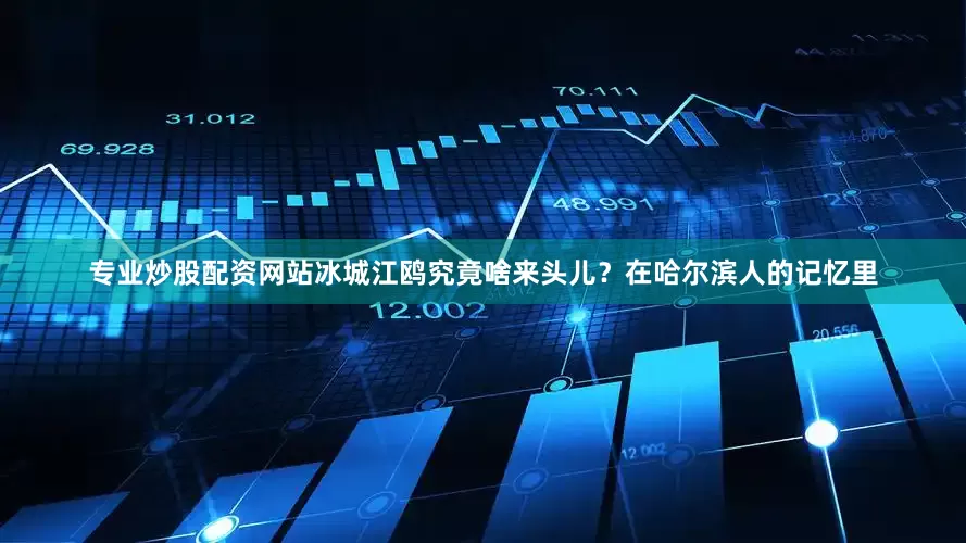 专业炒股配资网站冰城江鸥究竟啥来头儿？在哈尔滨人的记忆里
