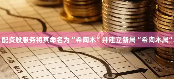 配资股服务将其命名为“希陶木”并建立新属“希陶木属”